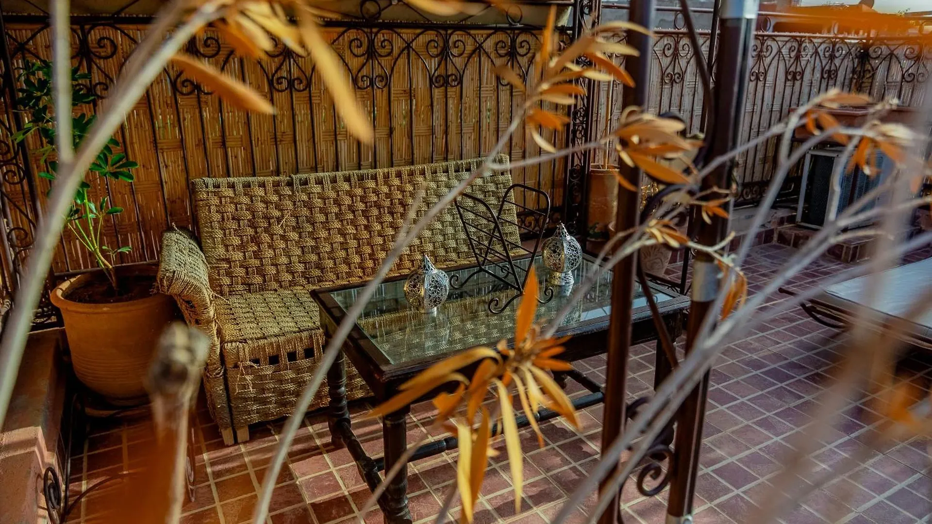 Riad The Moroccans Pool And Terrace Marrakesh Morocco